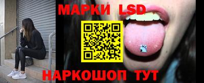 индика Сланцы
