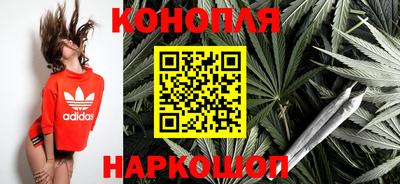 индика Сланцы